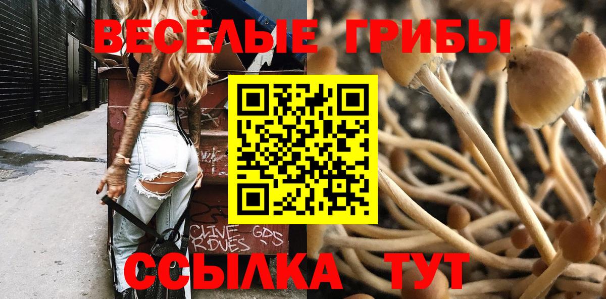 Удомля  Галлюциногенные грибы GOLDEN TEACHER  Вход с VPN  Псилоцибиновые грибы GOLDEN TEACHER 